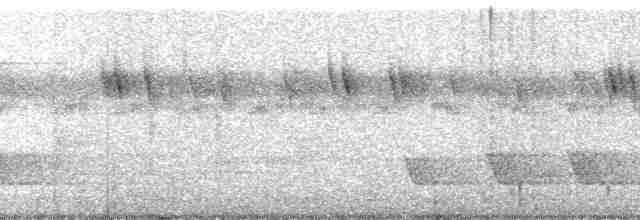 Turuncu Göğüslü Trogon - ML163098