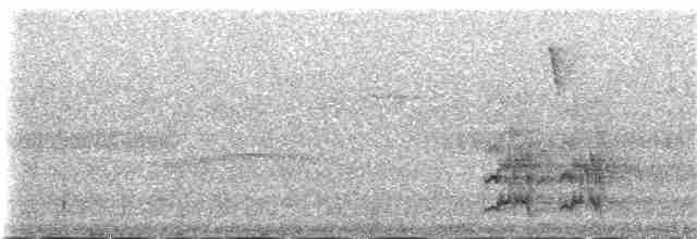 オウム目（インコ科 小さな種） - ML163108381