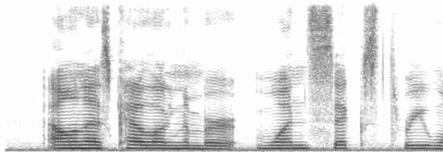 Dört Gözlü Palmiye Tangarası - ML16312
