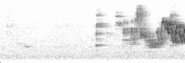 Troglodyte familier - ML163134151