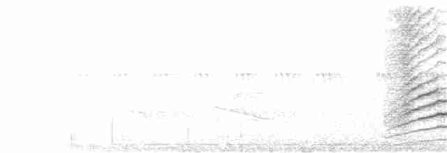 Пересмішник сірий - ML163135121