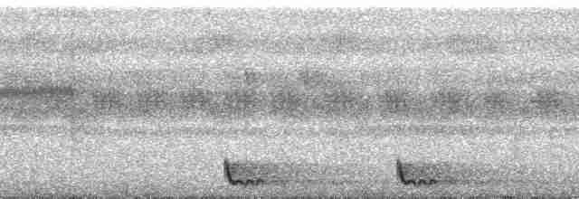 Large-tailed Nightjar - ML163140