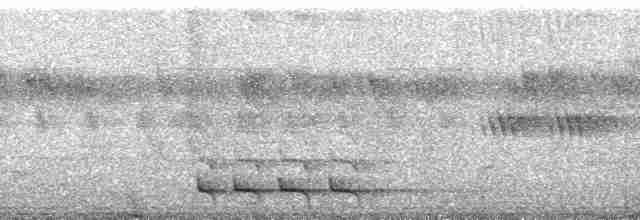 Turuncu Göğüslü Trogon - ML163147