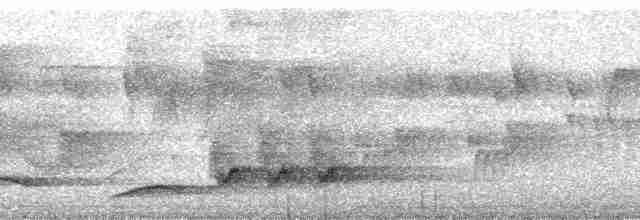 Beyaz Belli Şama [malabaricus grubu] - ML163157