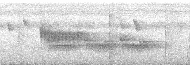Пятнистогрудая тимелия-говорушка - ML163171