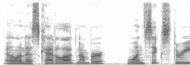 Полосатый зимородок - ML163173