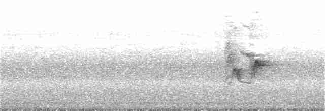 Uzun Kuyruklu Çütre - ML163197361