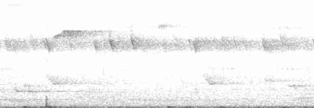 Beyaz Belli Şama [malabaricus grubu] - ML163220