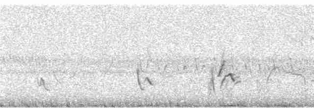 Piranga érythrocéphale - ML16323