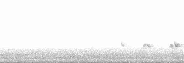 Черноголовый толстонос - ML163261701