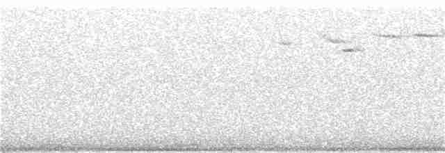 Münzevi Bülbül Ardıcı - ML163293201