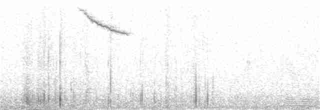 Дрізд-короткодзьоб канадський - ML163313501