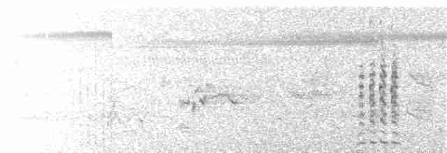 Australasian Grebe - ML163363391