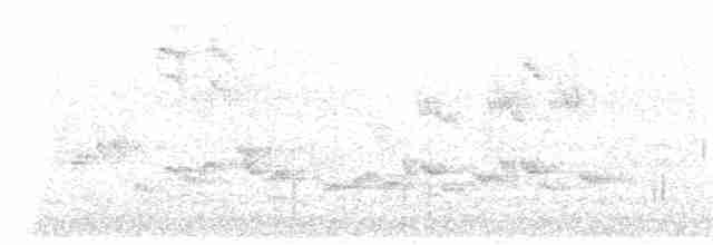 Обыкновенная горихвостка - ML163369331