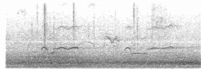 Fischadler (cristatus) - ML163369451