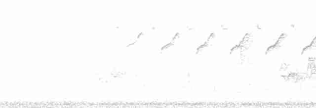 Reinita de Manglar (grupo aestiva) - ML163382
