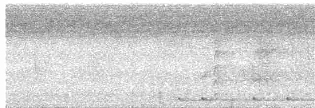 Harlekinbartvogel - ML163412241