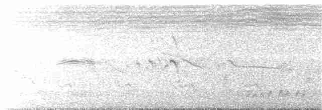 Серпокрилець-вилохвіст великий - ML163418181