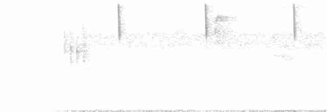 Beyaz Yakalı Kolibri - ML163421481