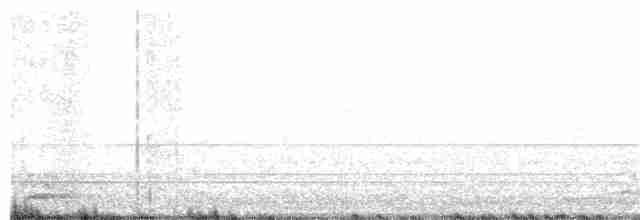 tyranovec vrbový - ML163424271