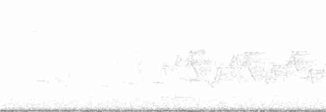 Cerulean Warbler - ML163450791