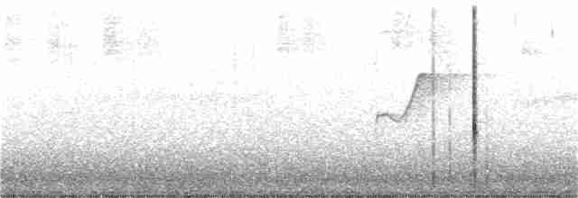 Hooded Warbler - ML163462391