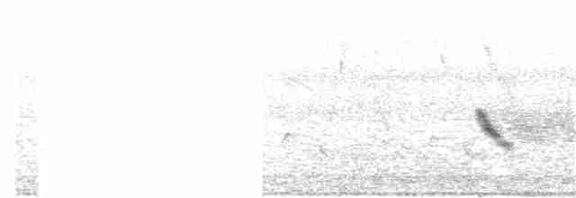 Büyük Mor Kırlangıç - ML163477981