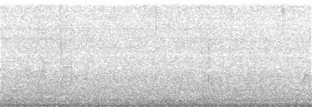 Karolina Baştankarası - ML163501041