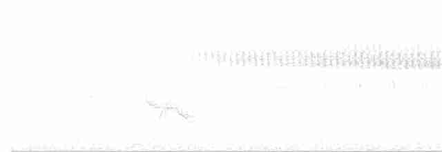 Worm-eating Warbler - ML163509101