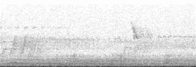 Червоїд рудогузий - ML163624611