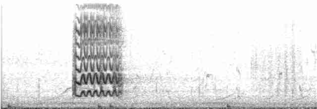 Кактусовый дятел - ML163624711