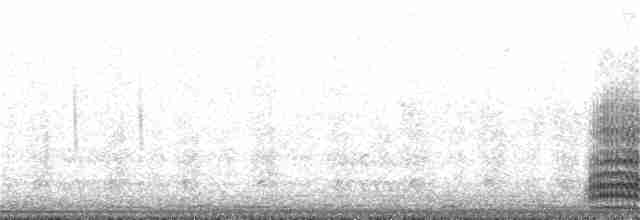 Cuervo Grande - ML163625271