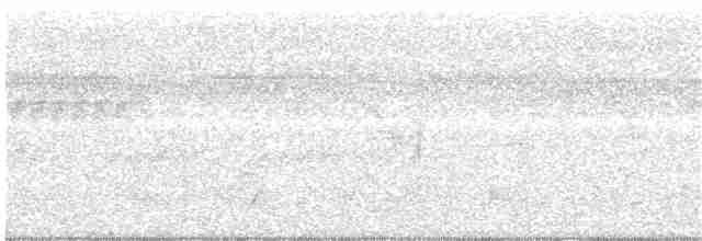 Серошапочный торорой - ML163636971