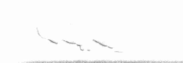 Chihuahuan Meadowlark - ML163642271