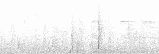Wimpelträger-Paradiesvogel - ML163673