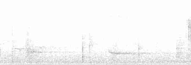 Wimpelträger-Paradiesvogel - ML163674