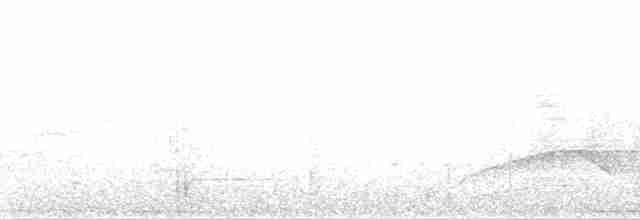 Wimpelträger-Paradiesvogel - ML163677