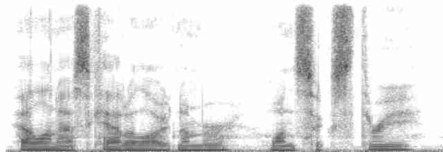 ML163685 visualization