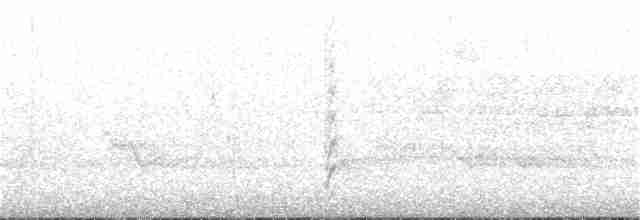 Pileated Woodpecker - ML163686711