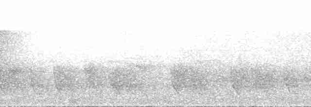Дивоптах-шилодзьоб бурий - ML163690