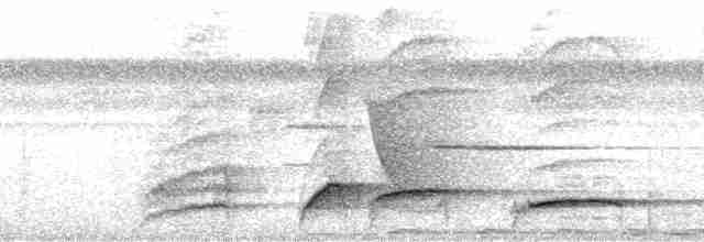 Дивоптах-серподзьоб західний - ML163691