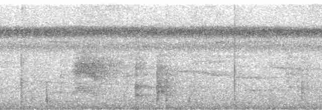 Gagası Beyaz Orakgaga - ML163692