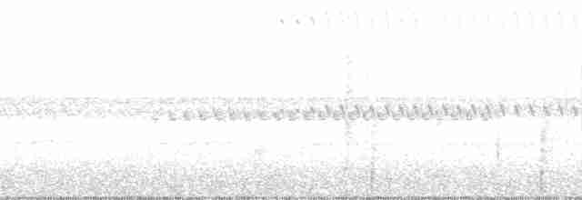 Blaunacken-Paradiesvogel - ML163698