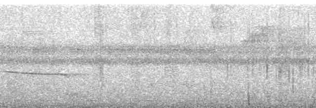 Berlepschparadiesvogel - ML163704