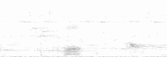 Paradisier grand-émeraude - ML163707