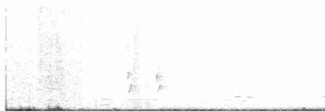 střízlík bažinný [skupina plesius] - ML163716901