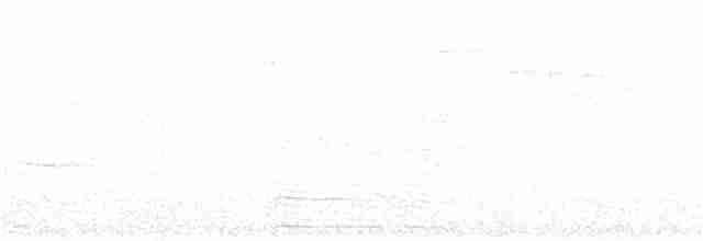Yellow-rumped Warbler (Myrtle) - ML163719501