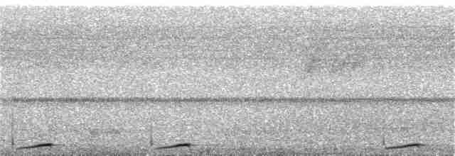 Карликовая земляная горлица - ML163725341