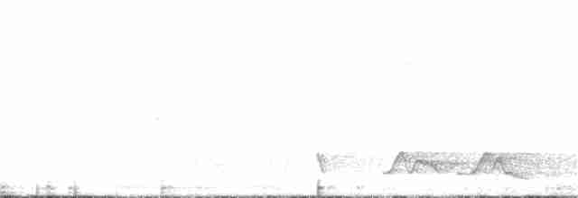 Carolinanachtschwalbe - ML163759821