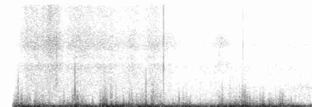 Plectrophane des neiges - ML163781081